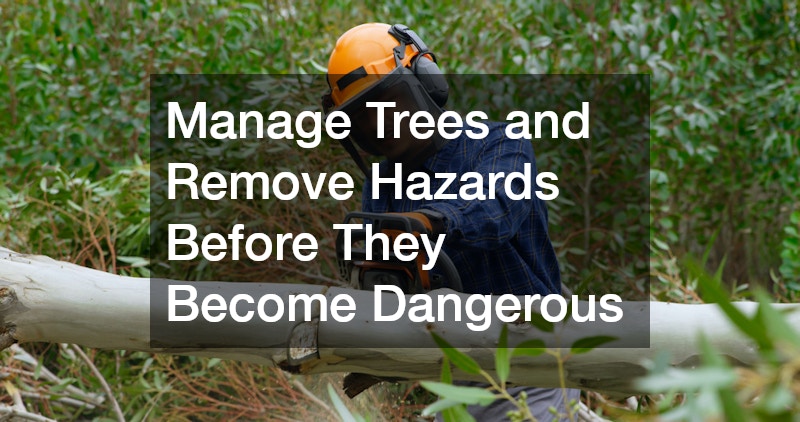 Manage Trees and Remove Hazards Before They Become Dangerous