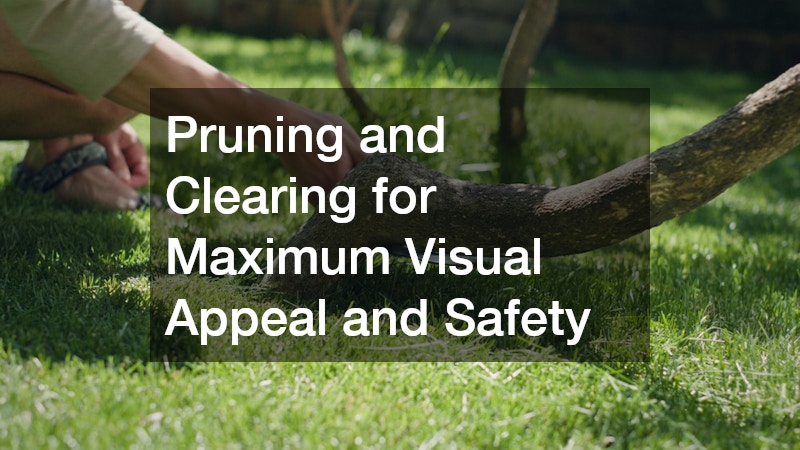 Pruning and Clearing for Maximum Visual Appeal and Safety