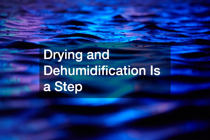 Drying and Dehumidification Is a Step