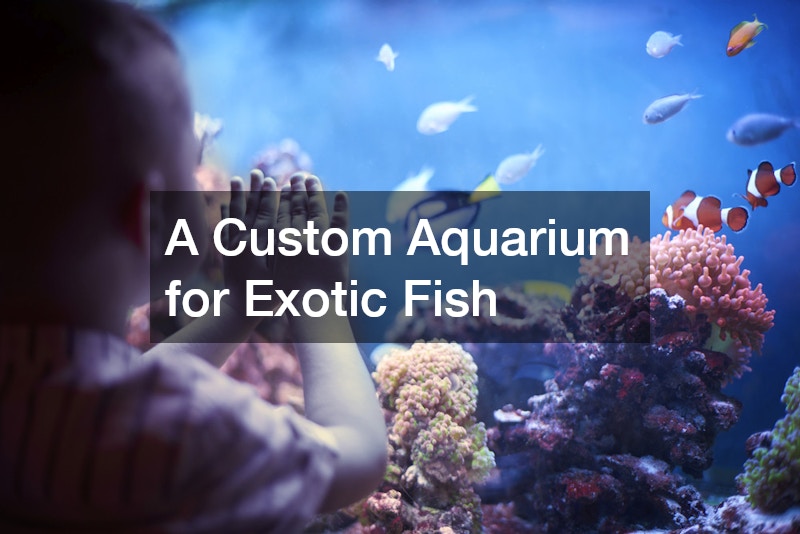 A Custom Aquarium for Exotic Fish