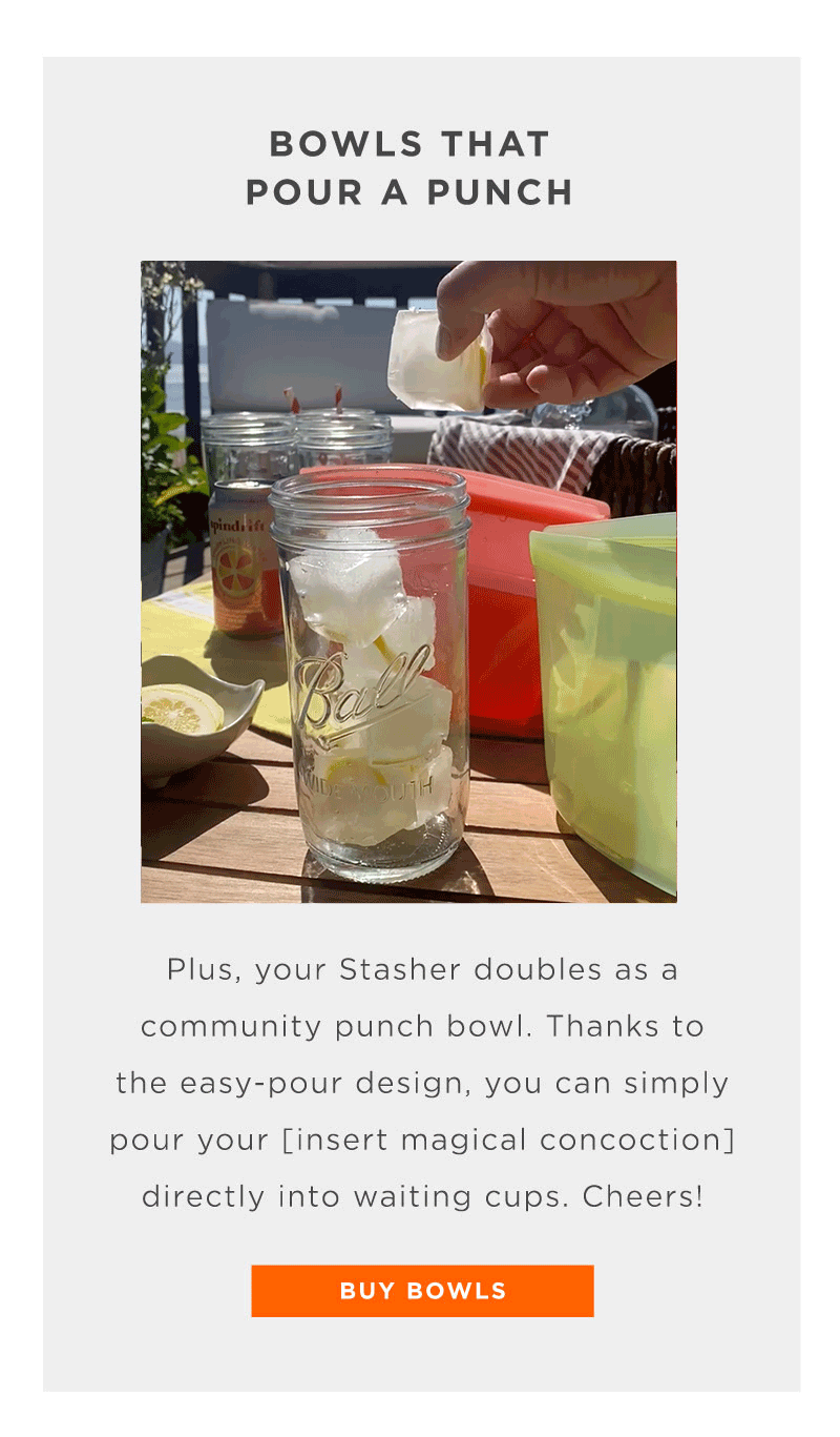 Bring your Stasher to the beach party Stasher Bag