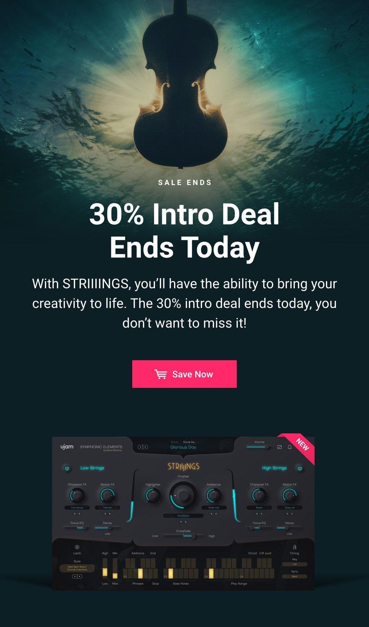 30 % STRIIIINGS Deal Ends Today (Please Load Remote Content)