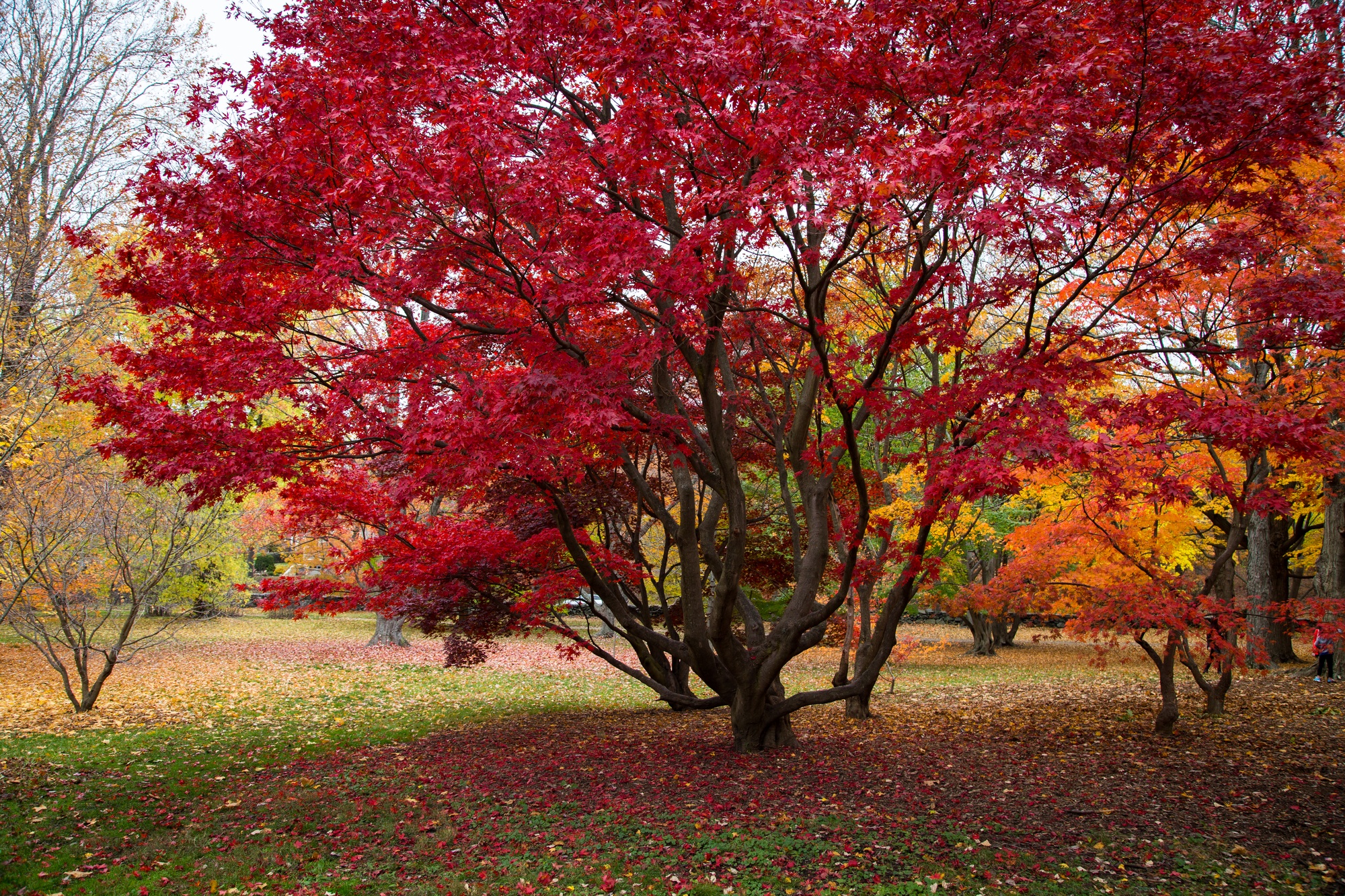 Новая Англия - сентябрь или октябрь ?