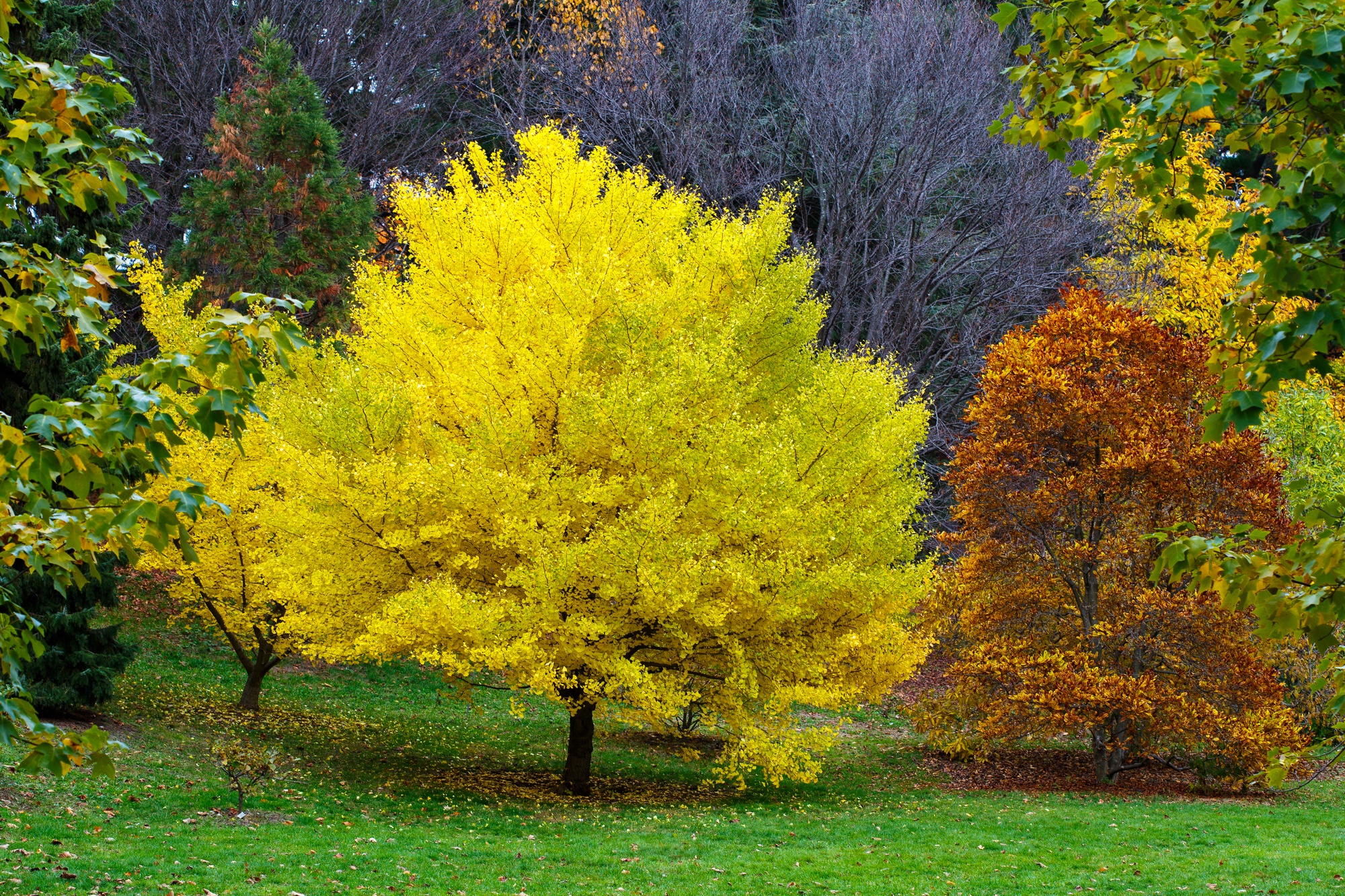 Новая Англия - сентябрь или октябрь ?