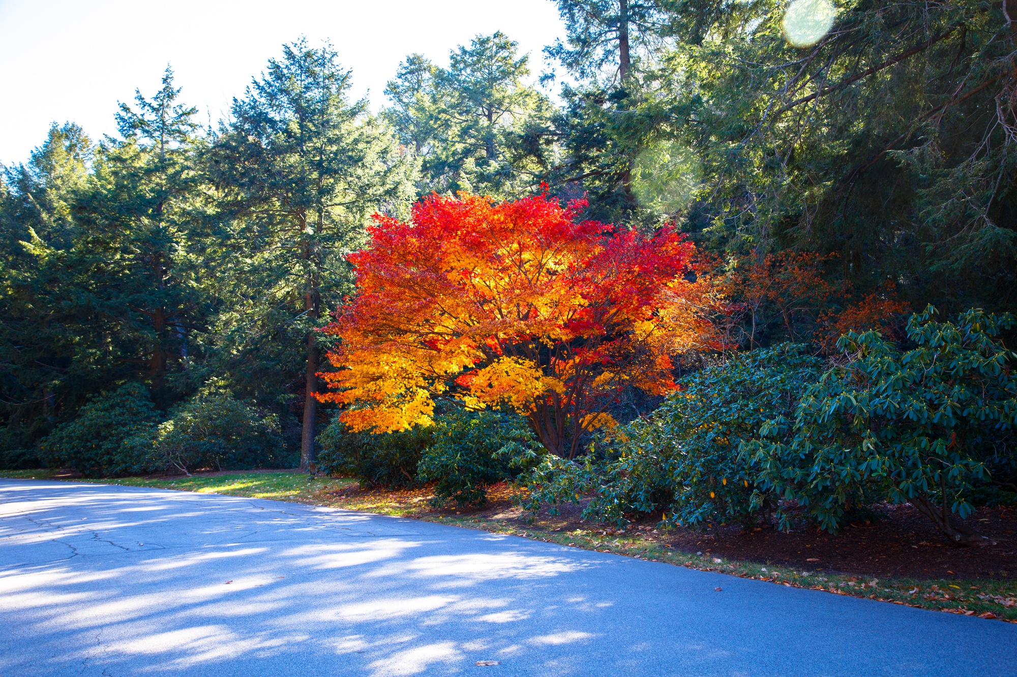 Новая Англия - сентябрь или октябрь ?