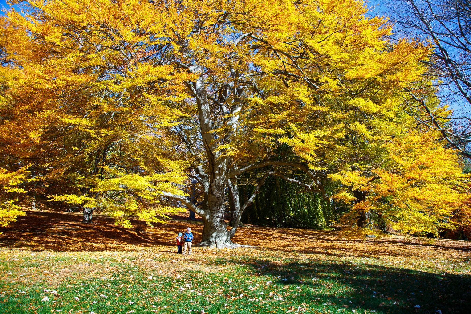 Новая Англия - сентябрь или октябрь ?
