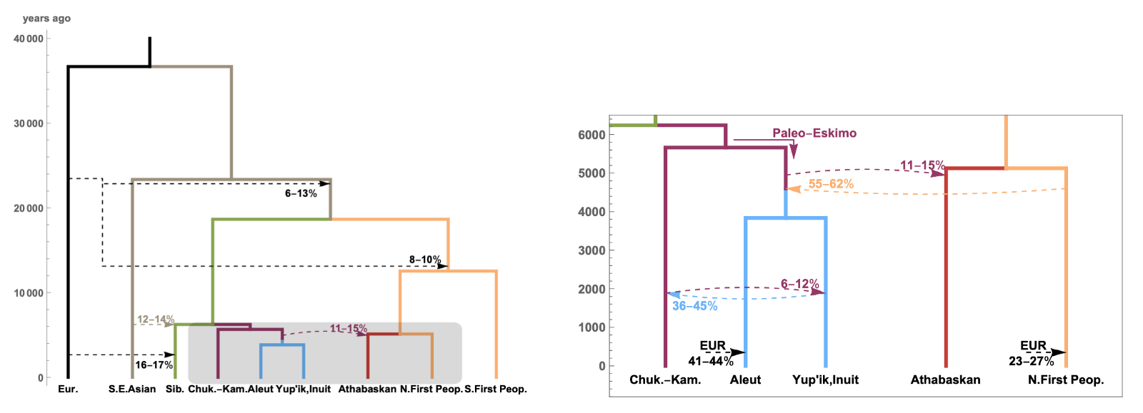 Our population model from the paper Our population model from the paper