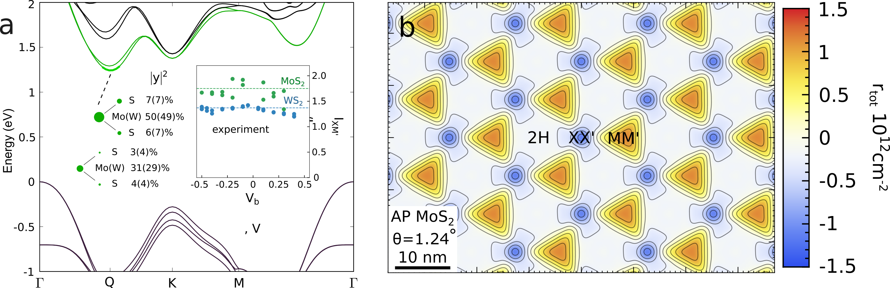 Atomic Reconstruction in Twisted Bilayers of Transition Metal ...