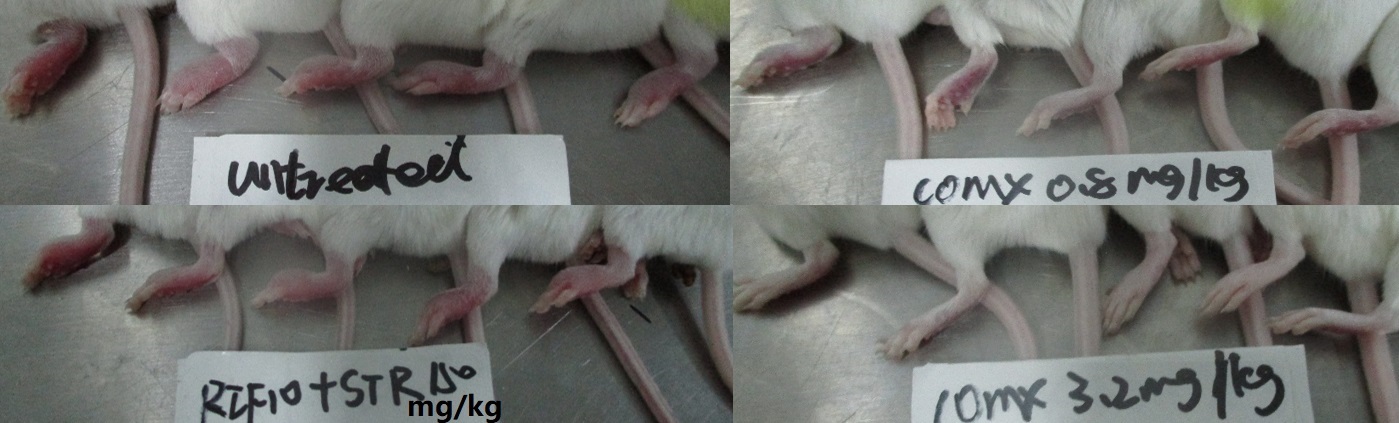 Fig.1 Fig.1