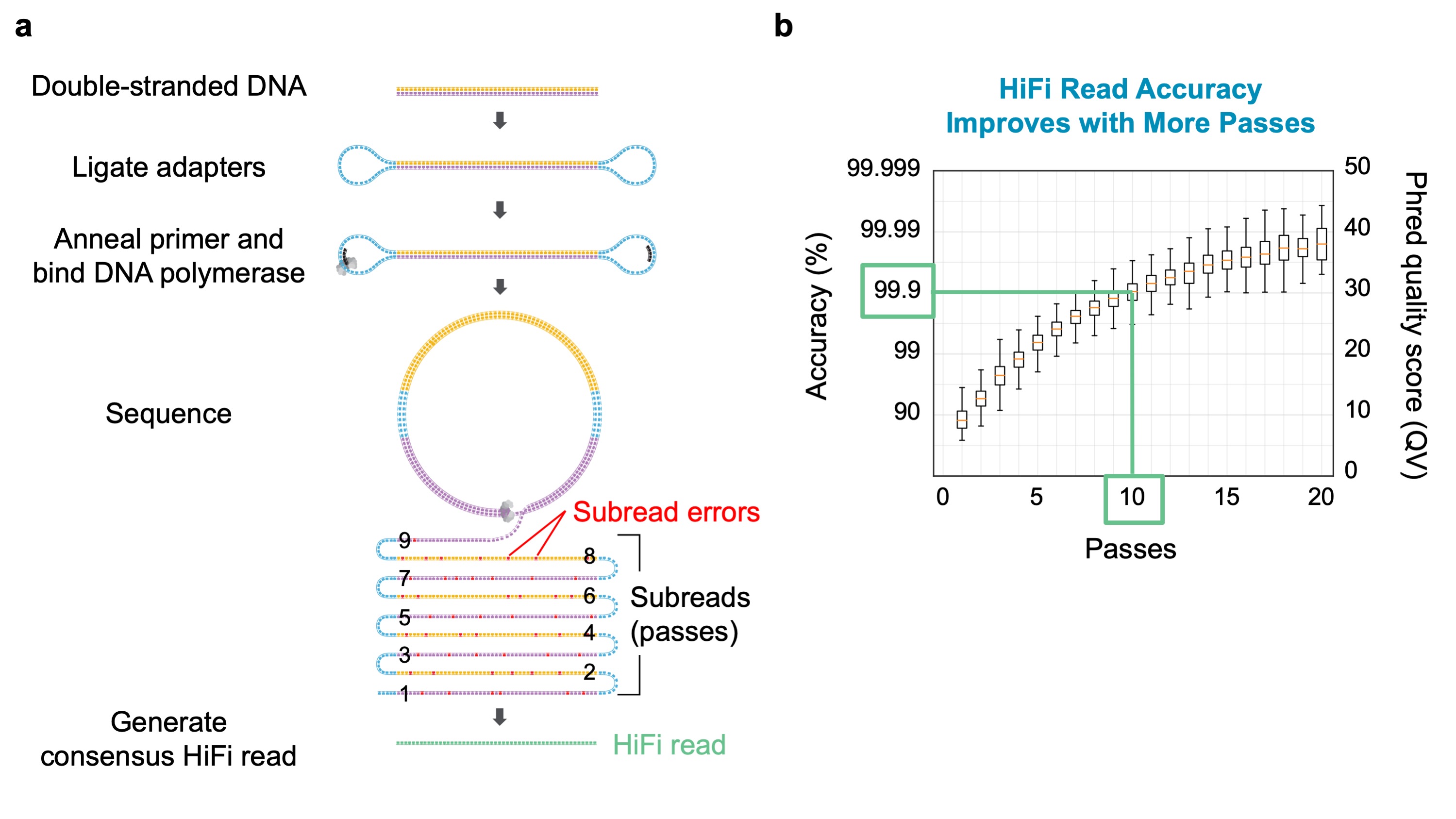 Dna sequencing research paper