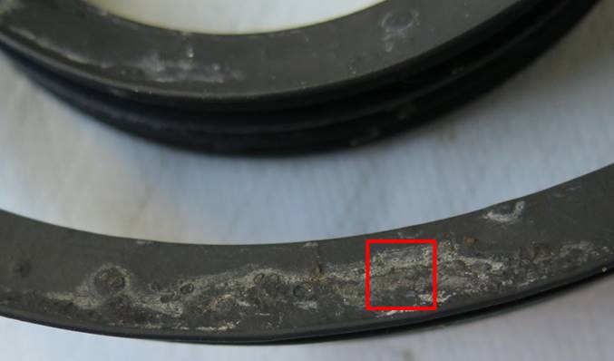 Figure 2: Biofilm, formed on rubber seals in household dishwashers. The red square represents the sampling site of 1 cm2. Figure 2: Biofilm, formed on rubber seals in household dishwashers. The red square represents the sampling site of 1 cm2.
