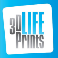 3D LifePrints 3D LifePrints