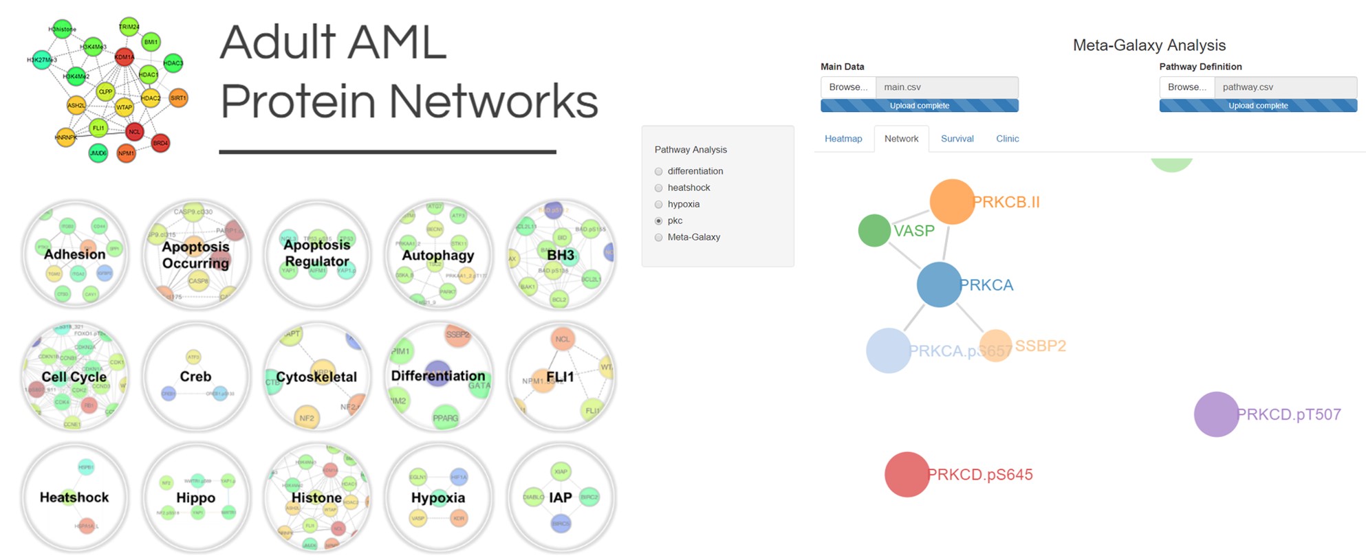 Leukemia Proteome Atlas Leukemia Proteome Atlas