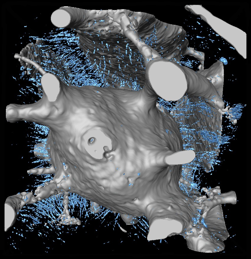 3D model 3D model