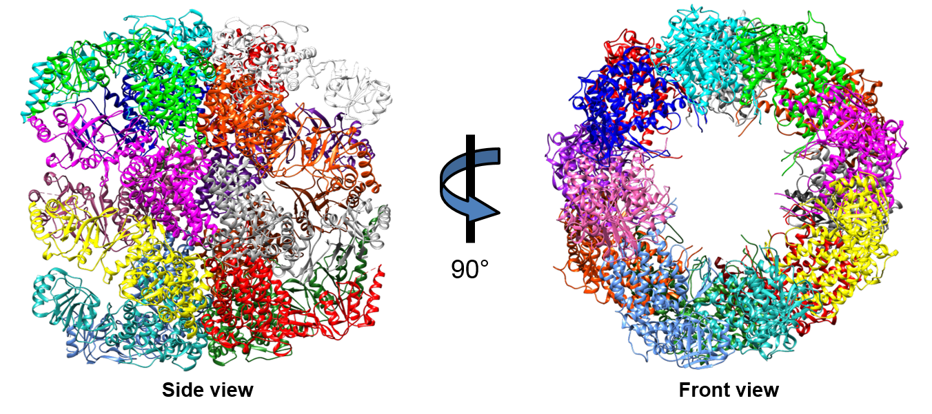Figure 2 Figure 2