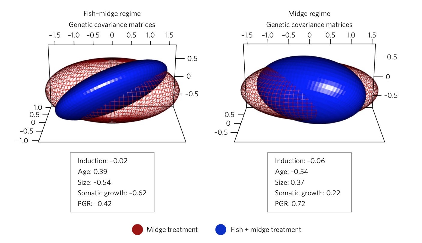 Multivariate Plasticity Multivariate Plasticity
