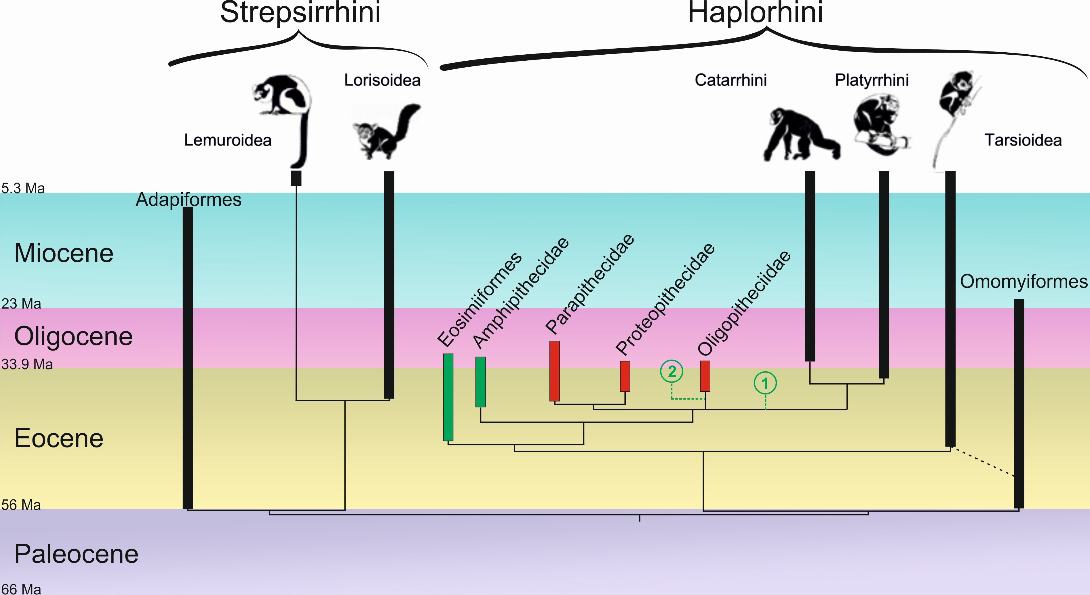 Figure 1 Figure 1