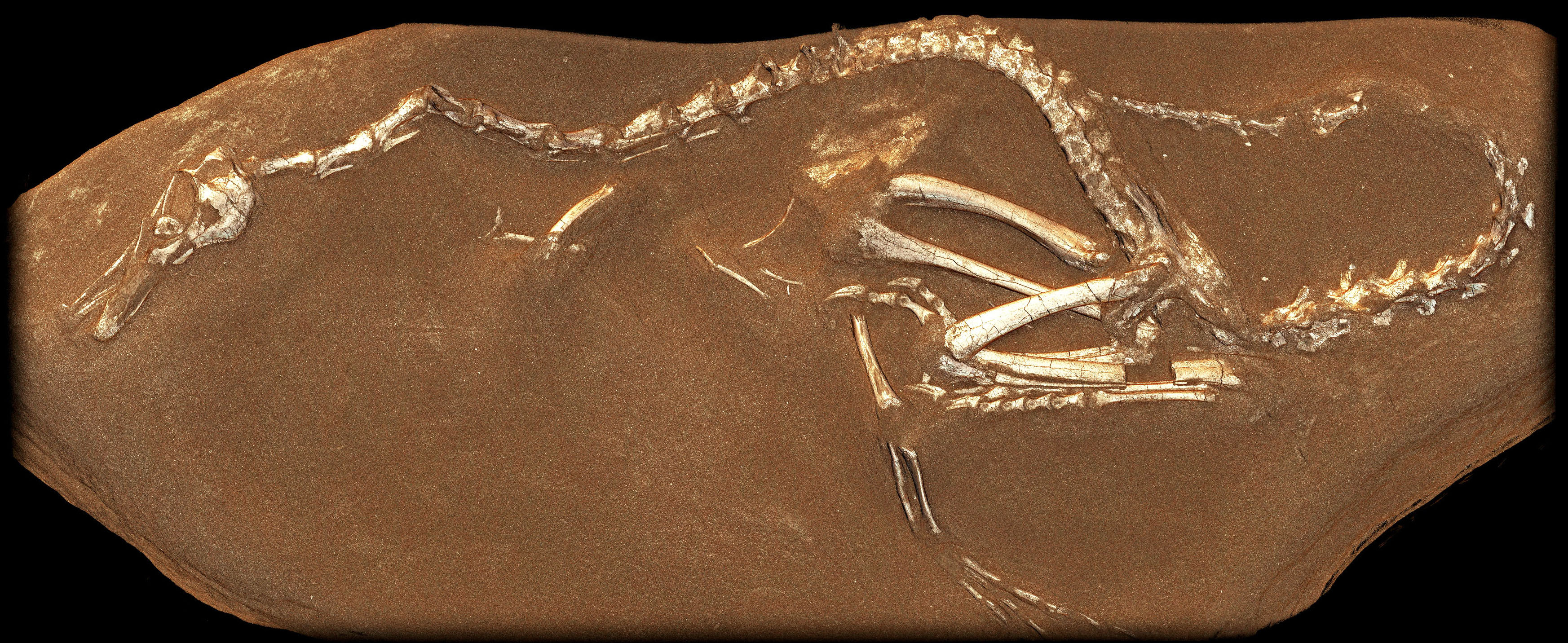 Figure 1. Figure 1.