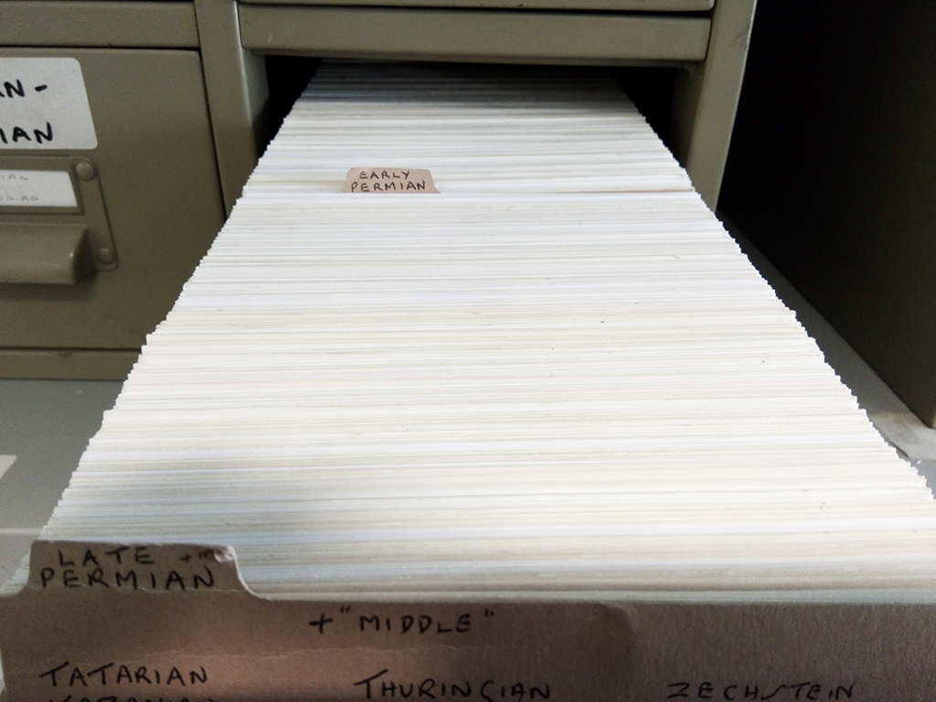 John Williams Index of Palaeopalynology John Williams Index of Palaeopalynology