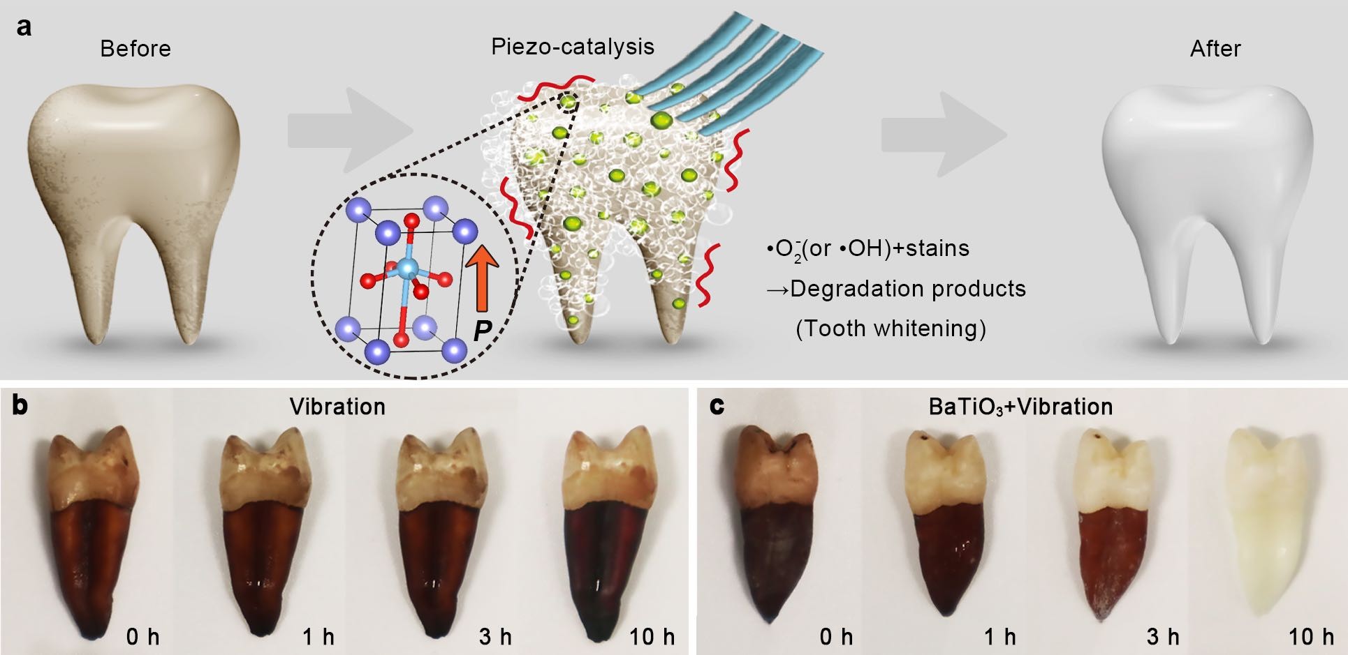 Piezoelectric materials for nondestructive tooth whitening