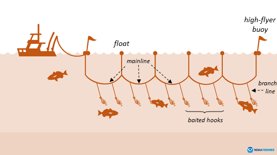 Fishing for marine debris | Research Communities by Springer Nature