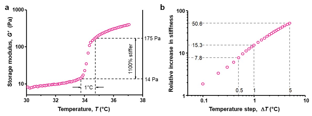 Thermal stiffening of the PIC/PNIPAM composite Thermal stiffening of the PIC/PNIPAM composite
