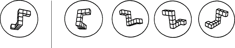 Mental rotation task Mental rotation task
