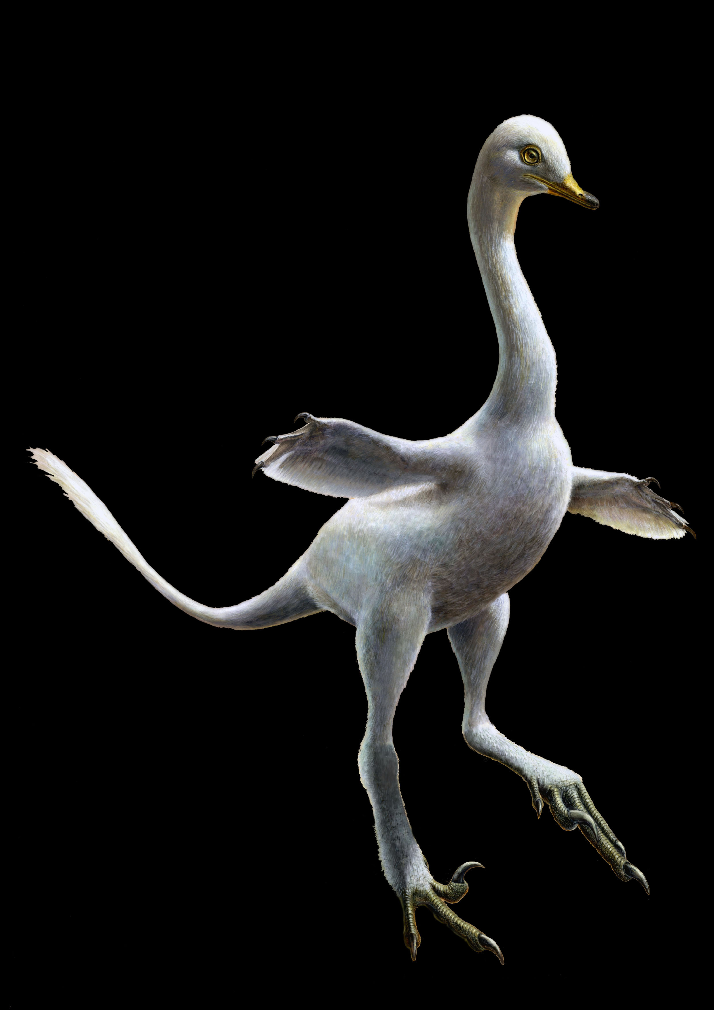 Figure 3. Figure 3.