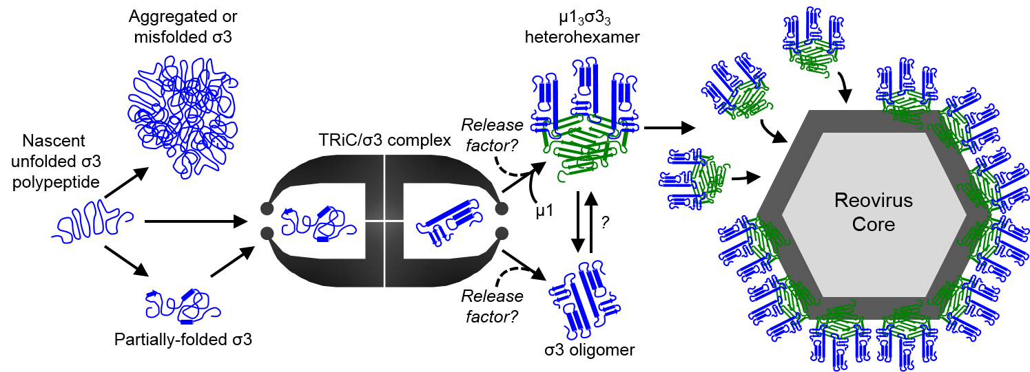 Figure 4 Figure 4