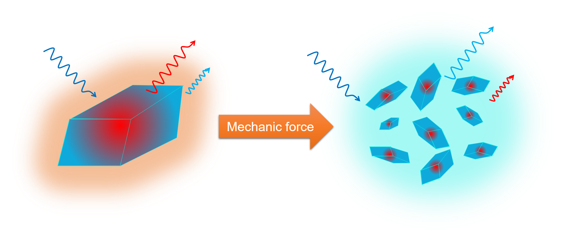 Figure 1 Figure 1