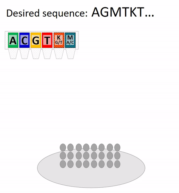 Synthesis of composite DNA Synthesis of composite DNA