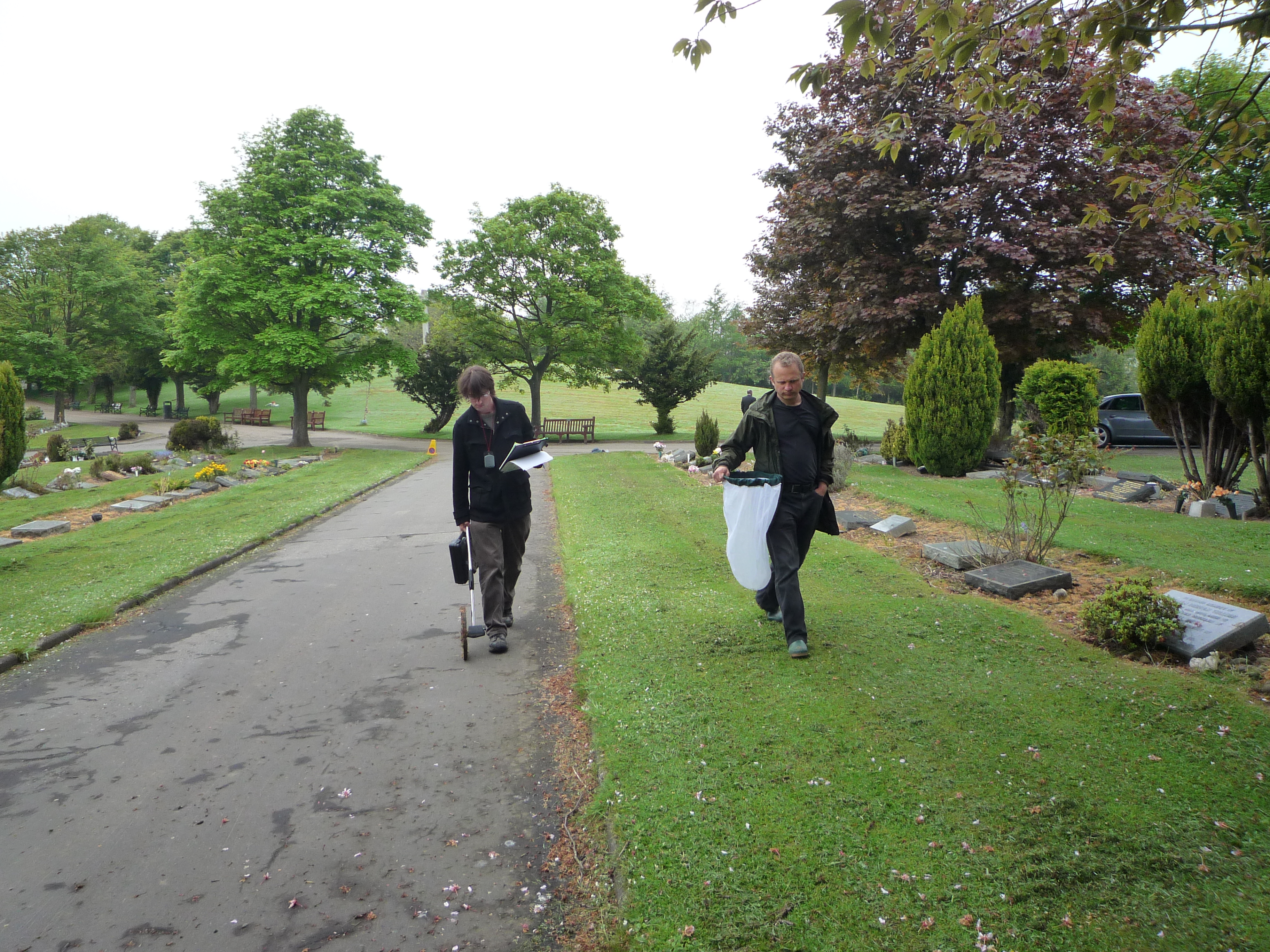 Sampling a cemetery for pollinators in Edinburgh (Photo: K. Baldock) Sampling a cemetery for pollinators in Edinburgh (Photo: K. Baldock)