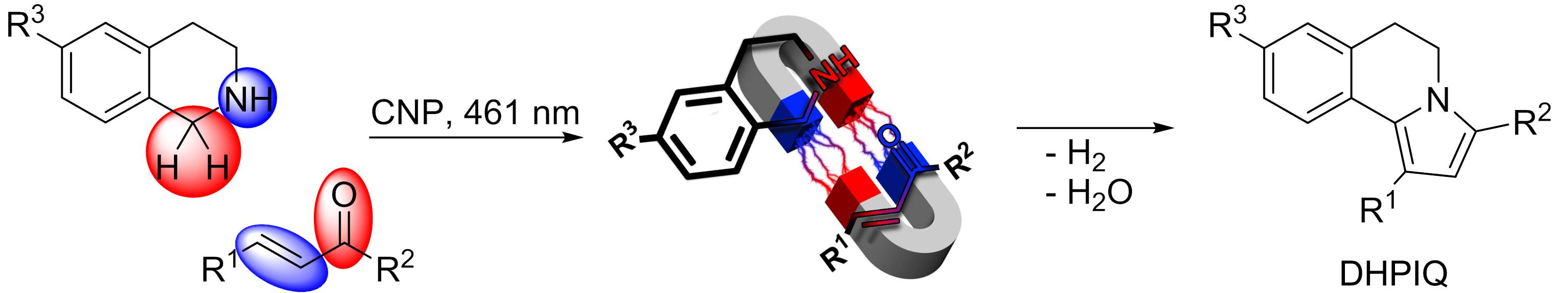 The scheme of the mechanism of the DHPIQ synthesis The scheme of the mechanism of the DHPIQ synthesis