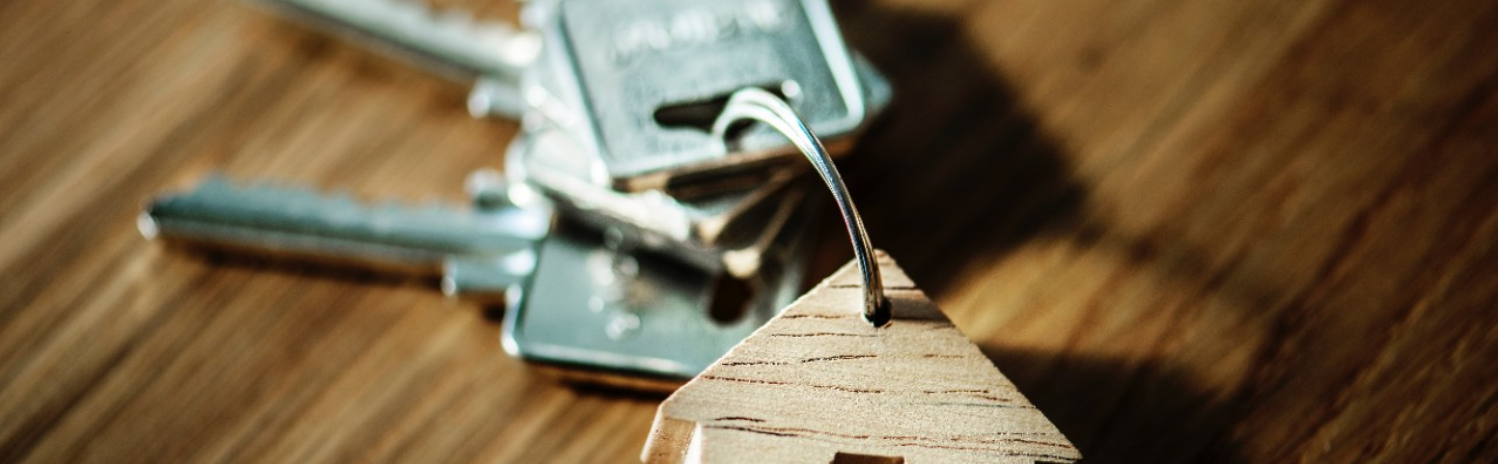 Asset ownership and the new inequality: The asset economy: inclusion, exclusion, debt Asset ownership and the new inequality: The asset economy: inclusion, exclusion, debt