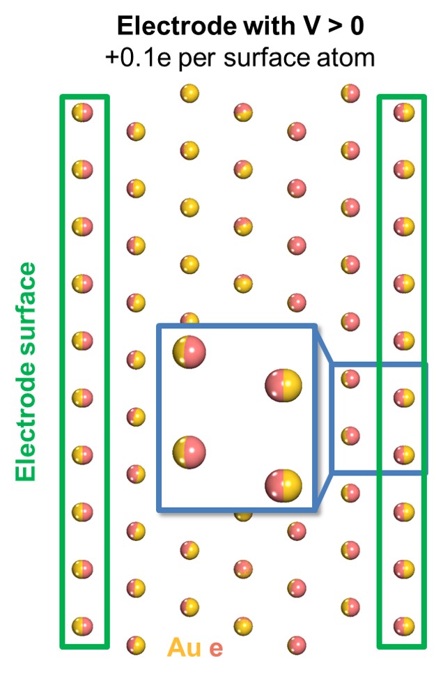 Model of a gold electrode Model of a gold electrode