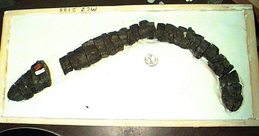 Figure 3 Figure 3