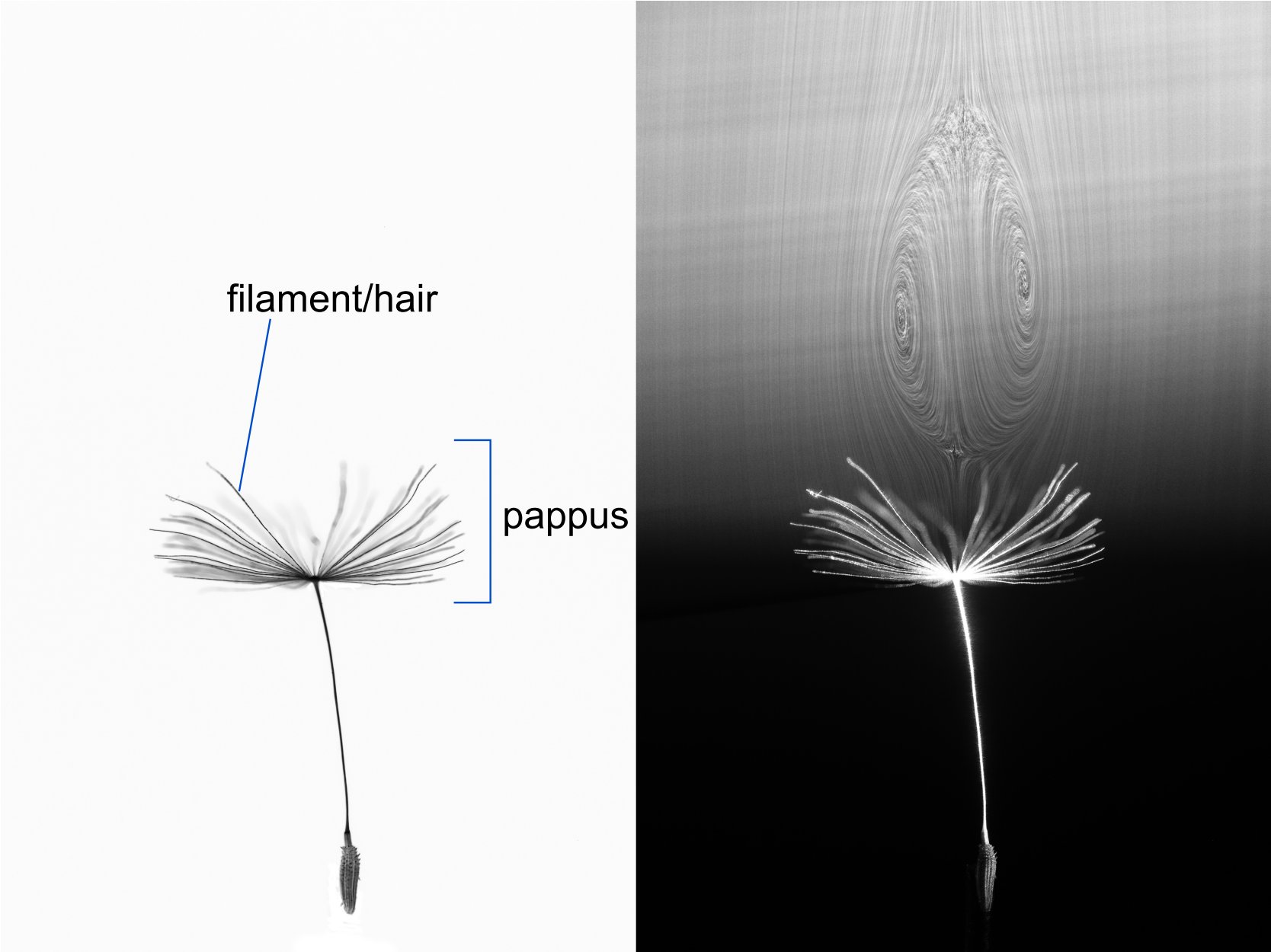 Figure 2 Figure 2