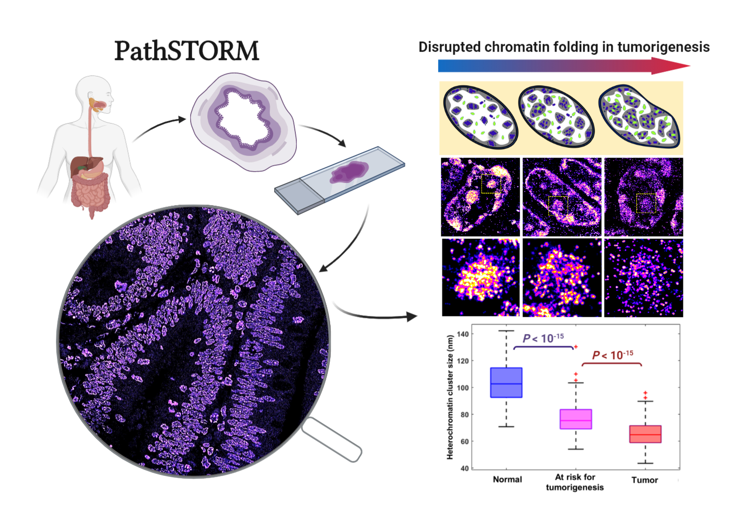A Journey Of Searching For Disrupted Chromatin Structure In Early 