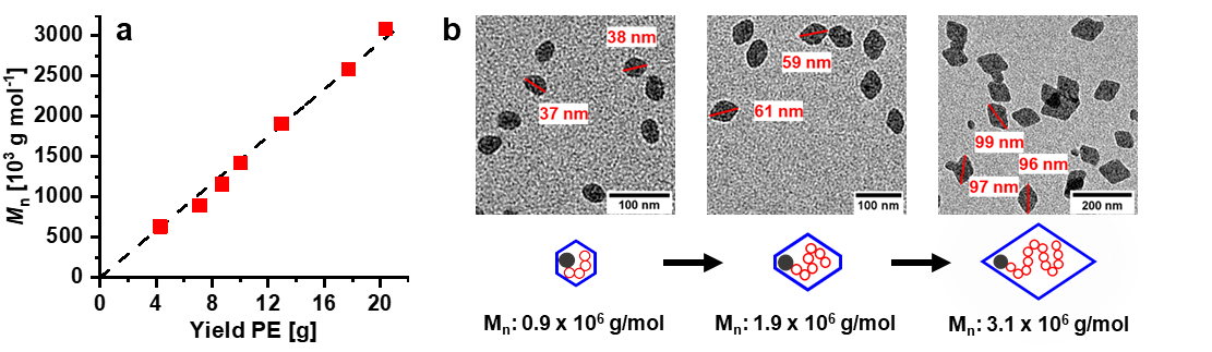 Fig. 2 Fig. 2