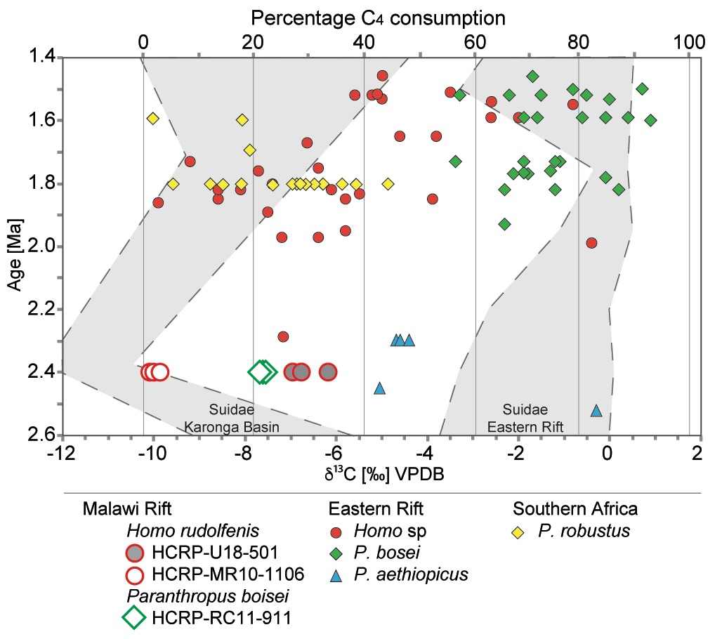 Diet of early hominins Diet of early hominins