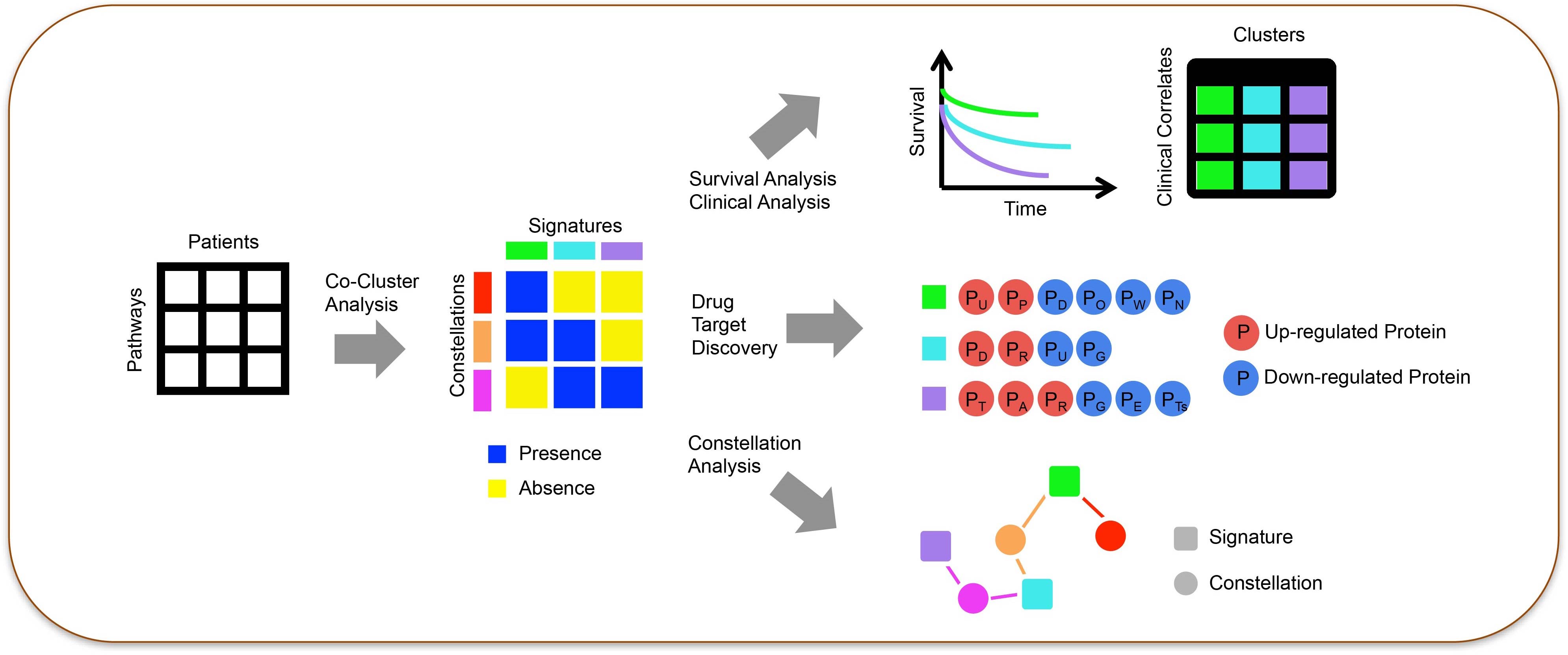 MetaGalaxy workflow MetaGalaxy workflow