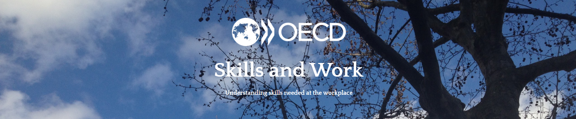OECD Skills and Work Blog OECD Skills and Work Blog