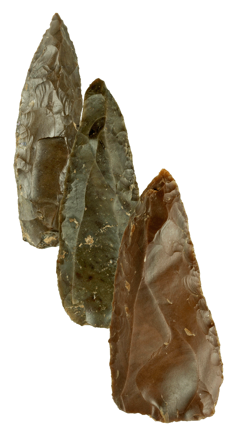 Early Mousterian tools from Misliya Cave Early Mousterian tools from Misliya Cave
