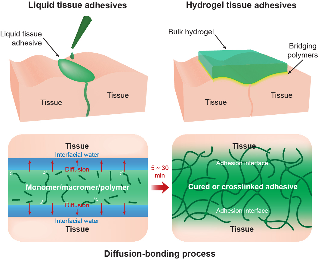 Dry doublesided tape for adhesion of wet tissues and devices