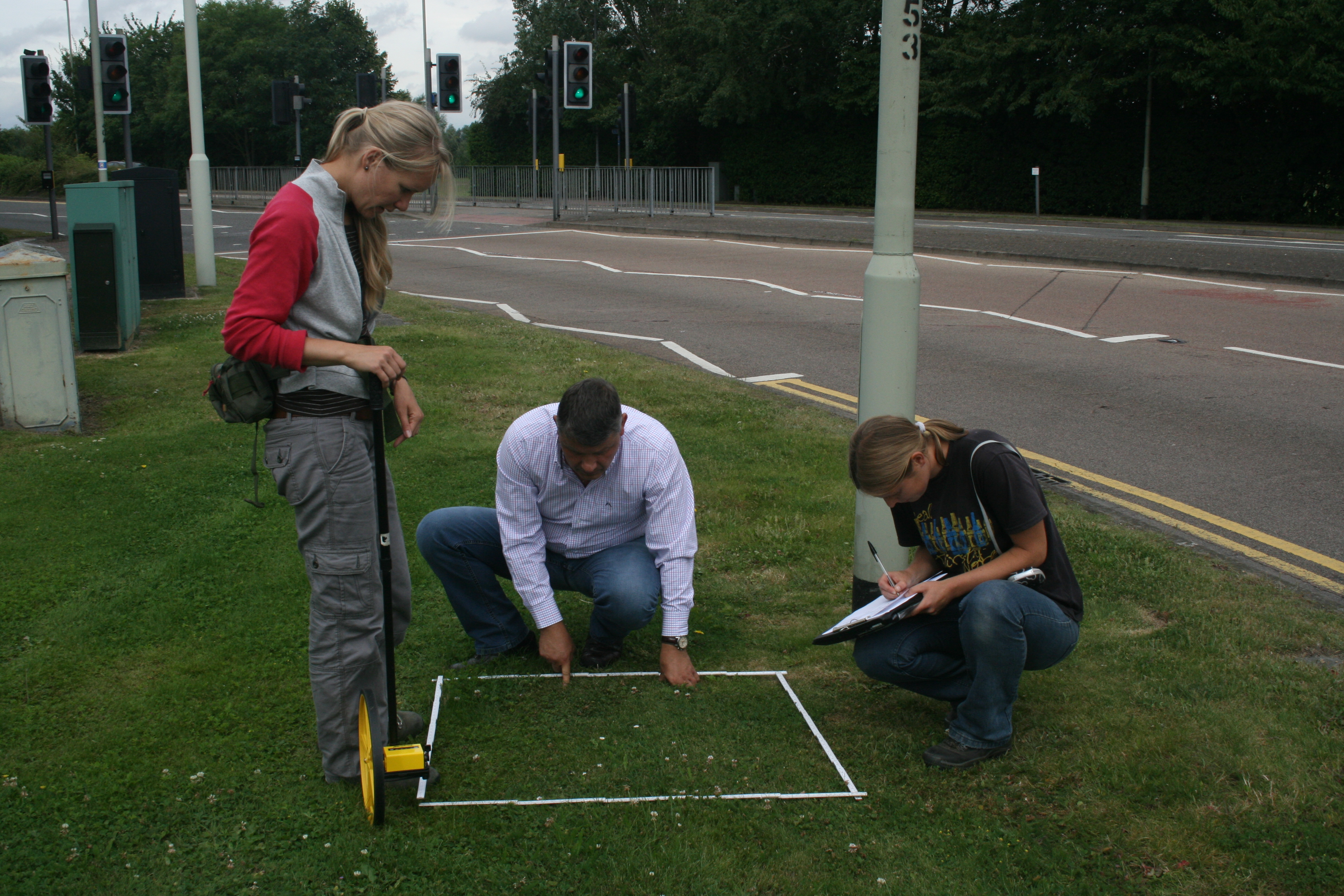 Sampling flowers in a road verge in Reading (Photo: K. Baldock) Sampling flowers in a road verge in Reading (Photo: K. Baldock)
