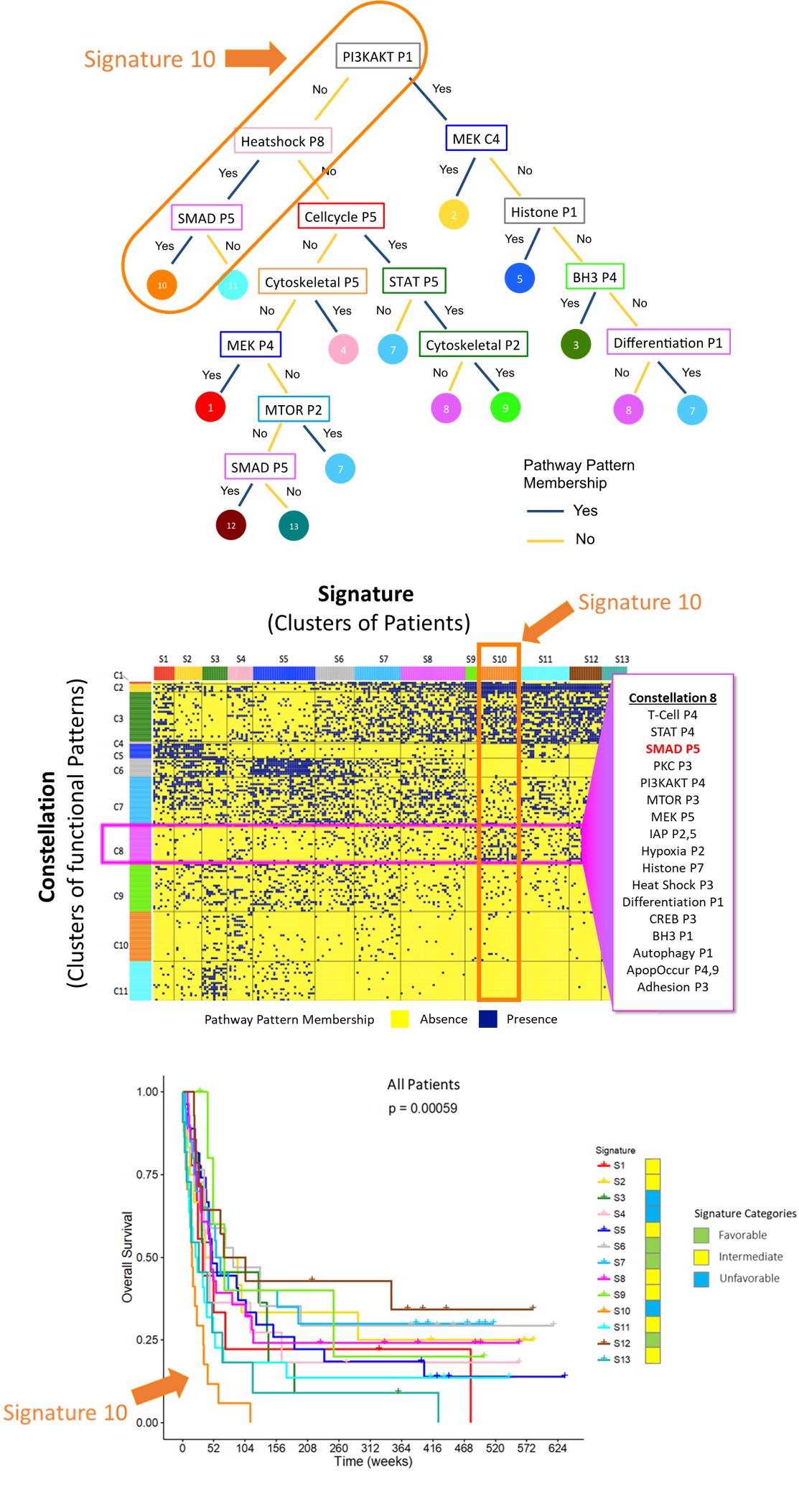 Identifying Leukemia Hallmarks. Identifying Leukemia Hallmarks.