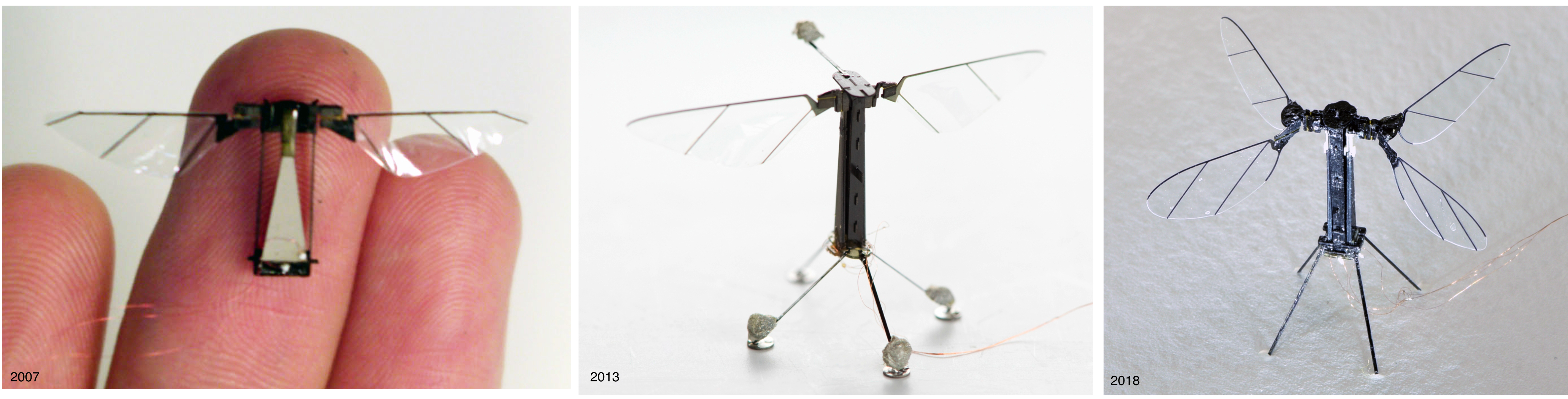 Several stages in the evolution of the RoboBee over the past decade. Several stages in the evolution of the RoboBee over the past decade.