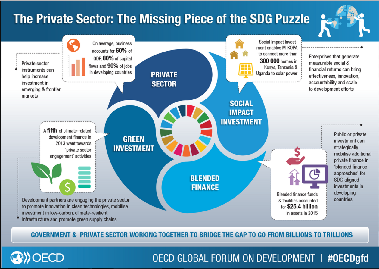 The missing piece of the SDG puzzle The missing piece of the SDG puzzle
