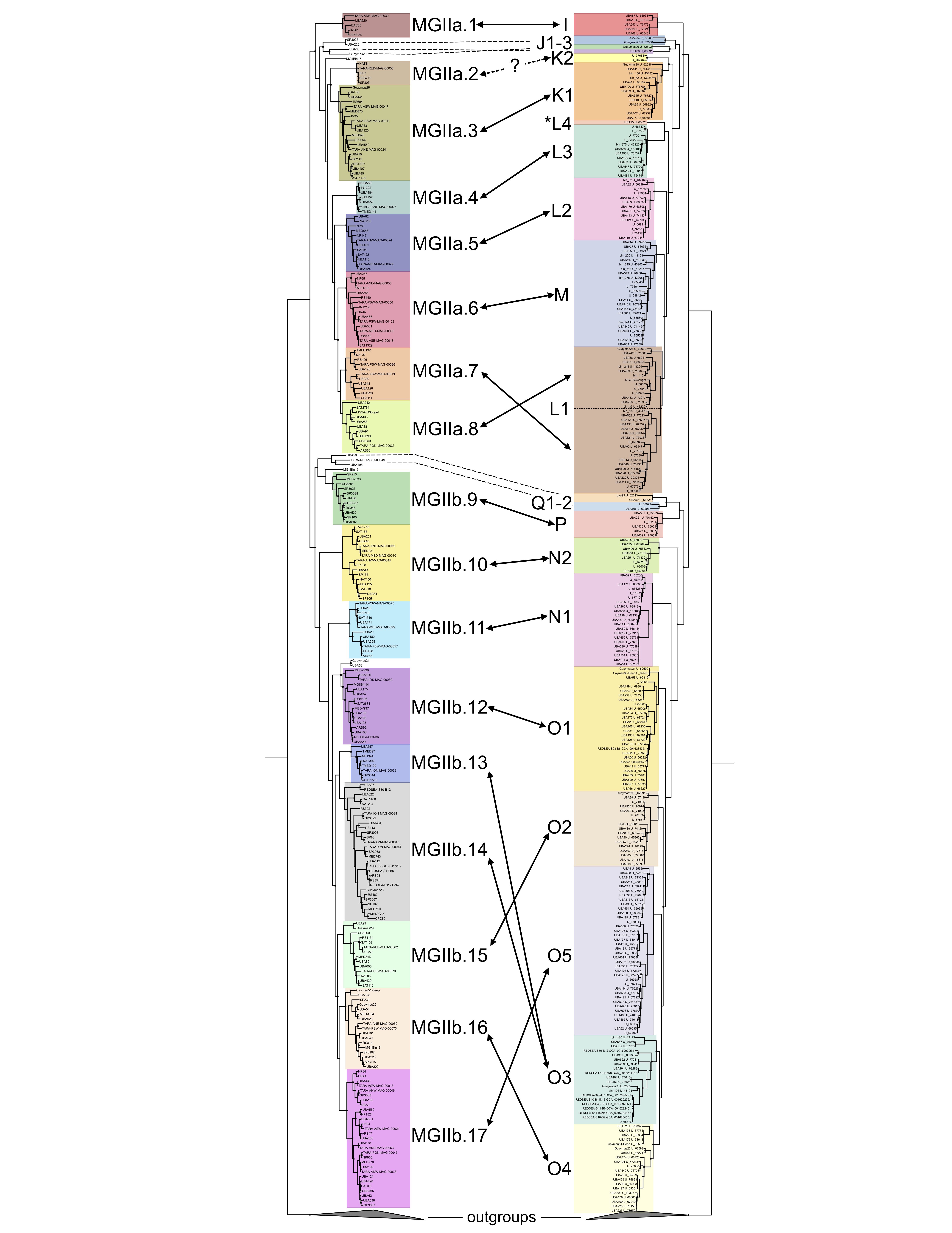 Phylogenomic comparison between subclades and genera identified in Tully (2019) and Rinke et al. (2018), respectively. Phylogenomic comparison between subclades and genera identified in Tully (2019) and Rinke et al. (2018), respectively.