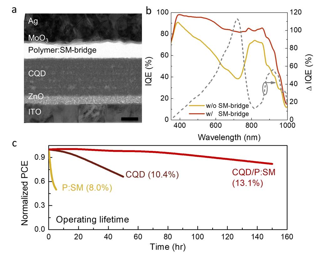 Efficient hybrid colloidal quantum dot/organic solar cells mediated by ...